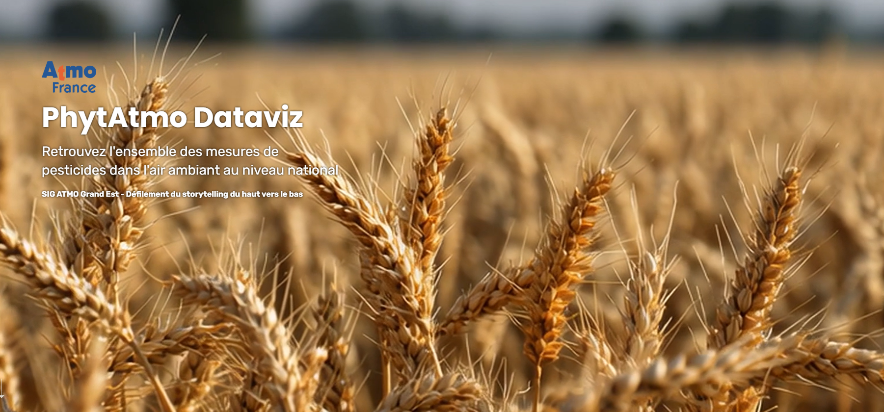 Page d'acceuil de la dataviz phytatmo, avec le logo atmofrance et un champ de blé