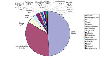 Contribution de chaque molécule à la concentration totale en pesticides mesurée à la Plesse (Écouflant) du 16 mai au 5 septembre 2007