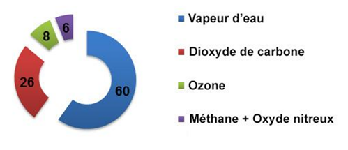 contribution en pourcentage des GES