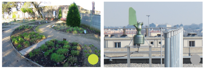 Pollinarium sentinelle® de Nantes / Capteur de pollens de Nantes