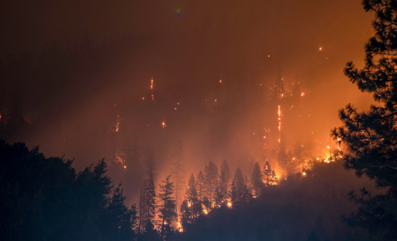 Photo de Matt Howard sur Unsplash, photo d'illustation, on voit une fôret en feu de nuit