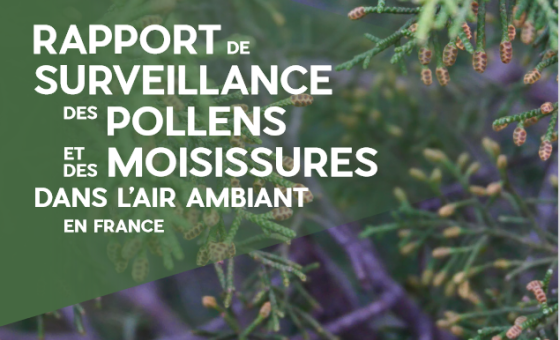 Couverture du rapport de surveillance des pollens et moisissures dans l'air ambiant en France en 2023, on voit ce texte écrit, en fond une photo de branches et en bas les logos de l'APSF, du RNSA et de la Fédération Atmo France.