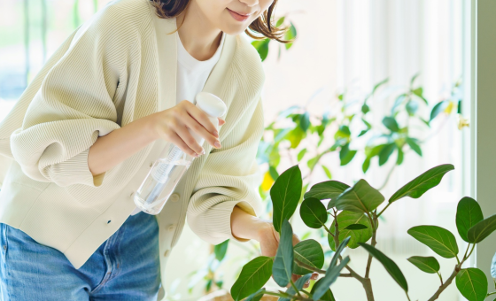Femme vaporisant une plante d'intérieur.