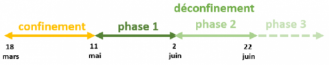 SCHEMA PHASES