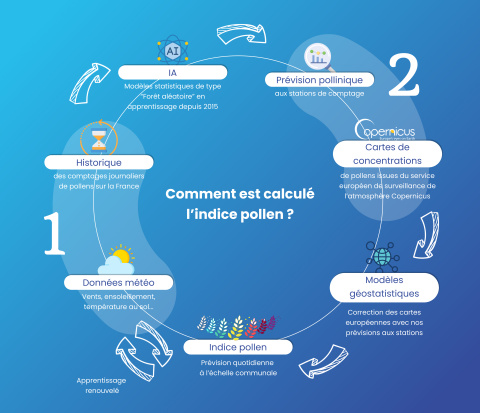 Infographie intitulée "Comment est calculé l’indice pollen ?" représentant le processus en deux grandes étapes sous forme de boucle. Étape 1 : Collecte des données Étape 2 : Prévision et calcul Toutes ces données sont utilisées pour générer l’Indice Pollen, avec une prévision quotidienne à l’échelle communale.