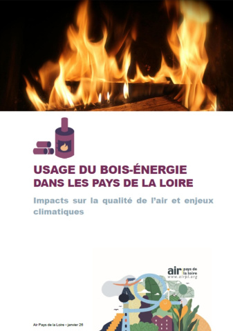 couv du rapport de l'usage du bois-énergie dans les Pays de la Loire avec image de bûches qui brûlent